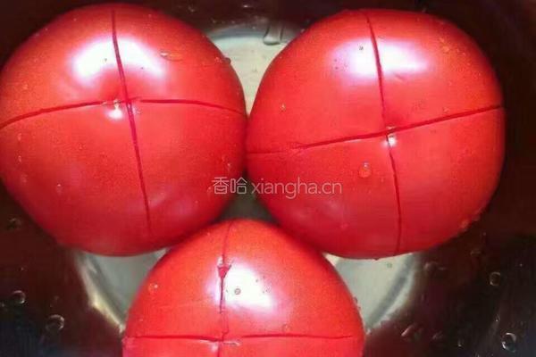 番茄酱的做法图解1