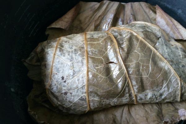 荷叶鸡的做法图解4