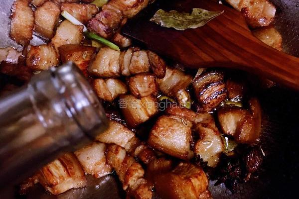 红烧肉的做法图解10