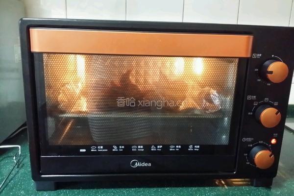烤乳鸽的做法图解12