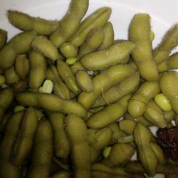 呼毛豆的做法[图]