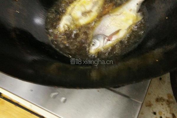 焖酥鱼的做法图解3