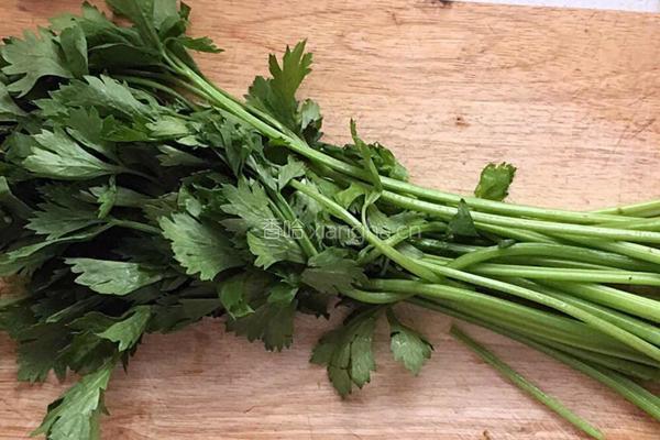 鲜虾香芹馄饨的做法图解2