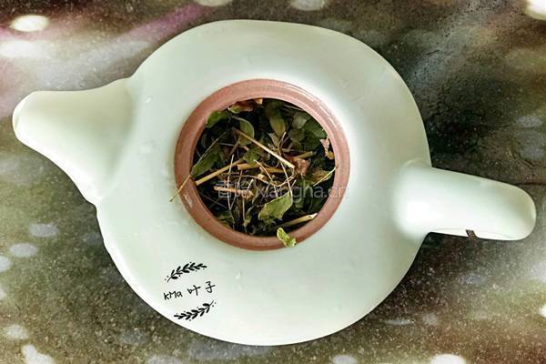 鸡骨草叶泡茶的做法图解2