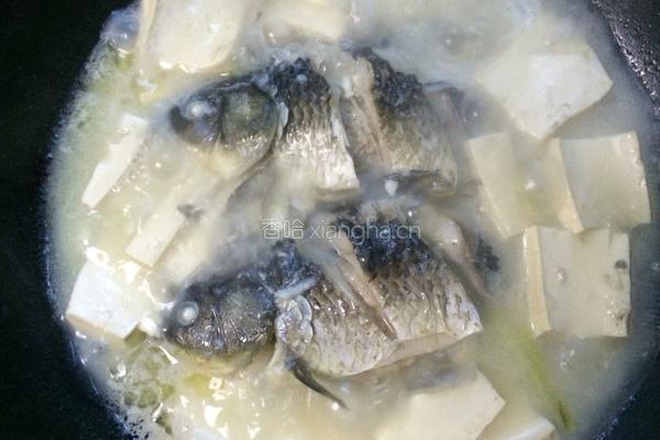 鲫鱼豆腐汤的做法图解12