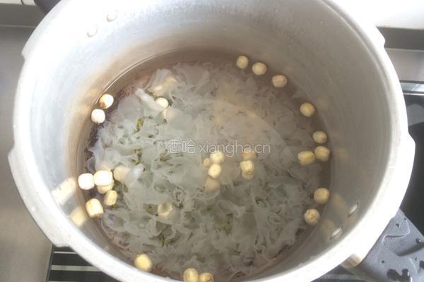绿豆银耳莲子羹的做法图解4