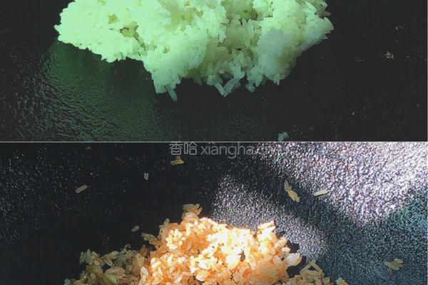 一人食雜料炒飯的做法图解5