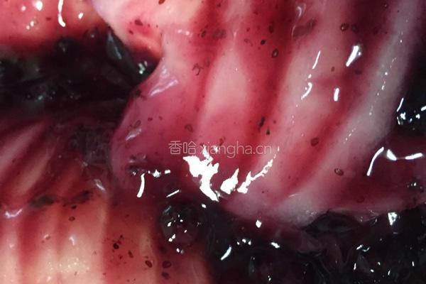 蓝莓雪梨的做法图解7