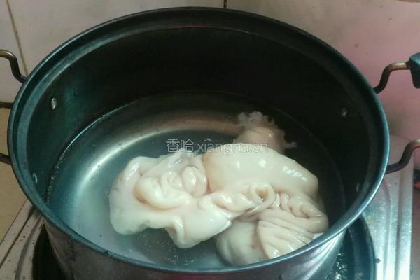 双椒肥肠的做法图解2