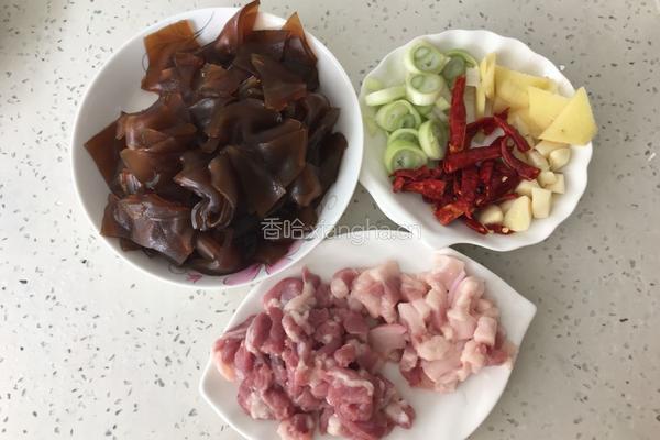 拉皮肉丝的做法图解1