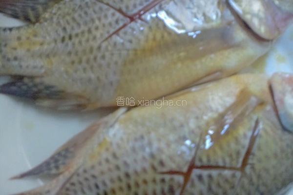 清蒸罗非鱼的做法图解3