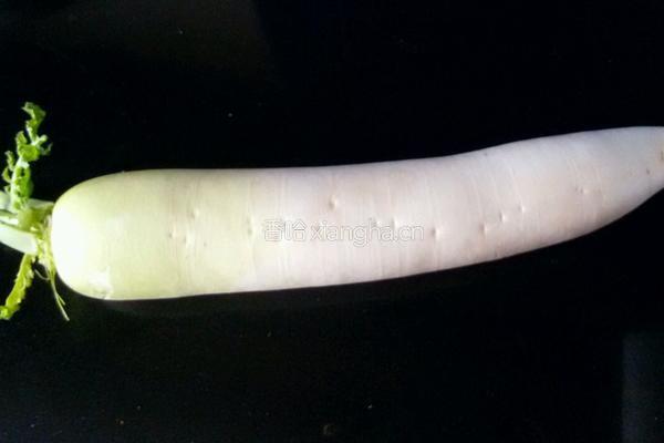 白萝卜炖羊排的做法图解10