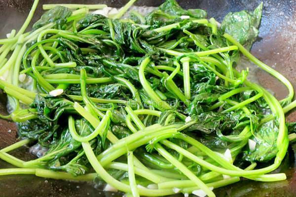 蒜香薯叶的做法图解5