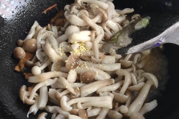 肉炒双菇的做法图解7