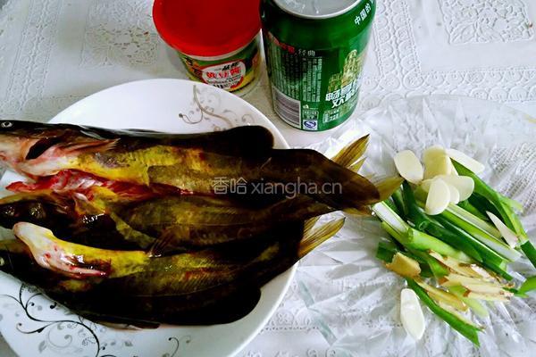 酱焖嘎呀鱼的做法图解1