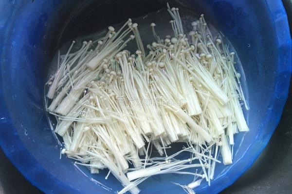 凉拌金针菇的做法图解2