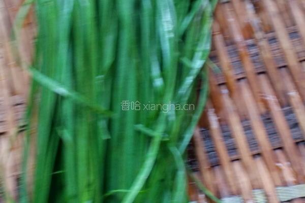 绿豆芽的做法图解1