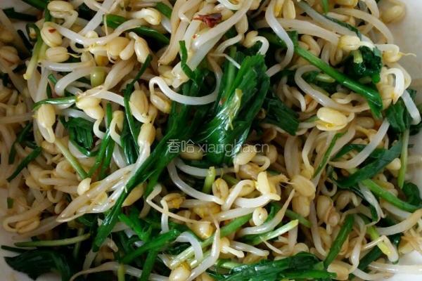 绿豆芽的做法图解4
