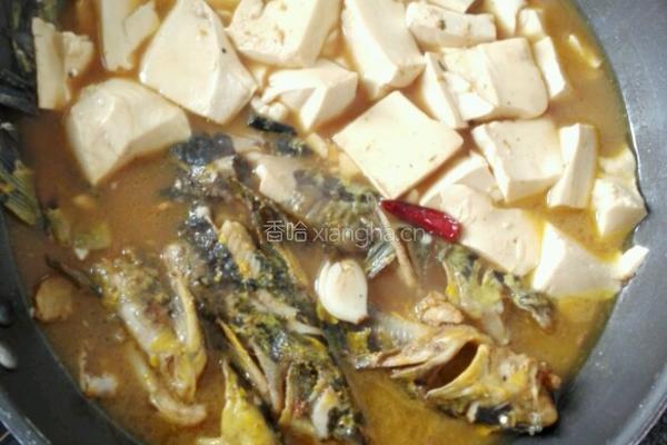 黄丫鱼烧豆腐的做法图解9