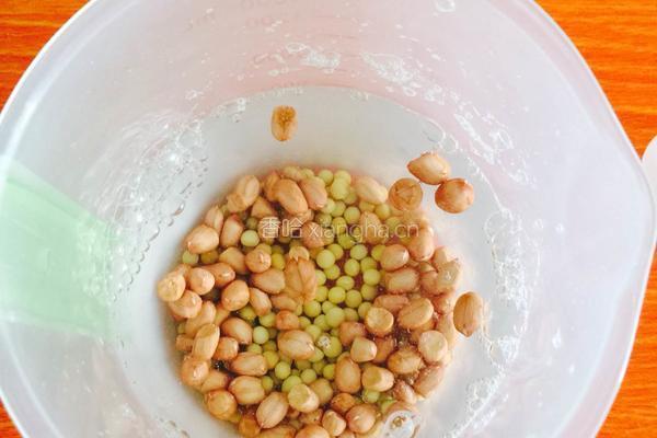 花生豆浆的做法图解2