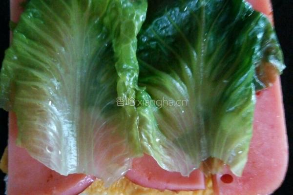 鸡蛋火腿三明治的做法图解5