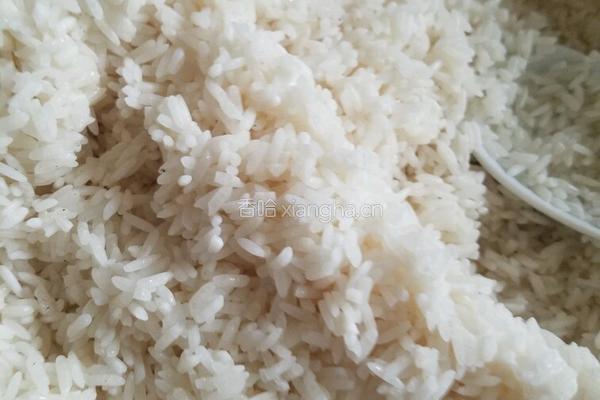 粽子 (猪肉咸蛋绿豆花生干贝虾米)的做法图解9