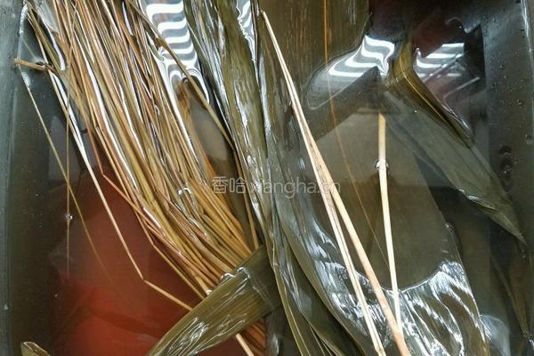 粽子 (猪肉咸蛋绿豆花生干贝虾米)的做法图解10