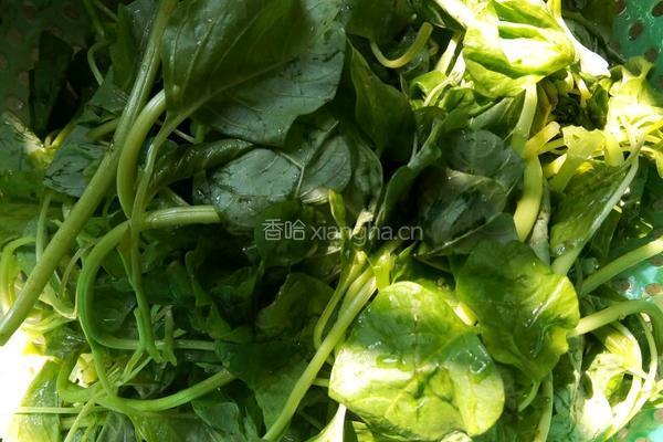 鹌鹑蛋扒苋菜的做法图解5