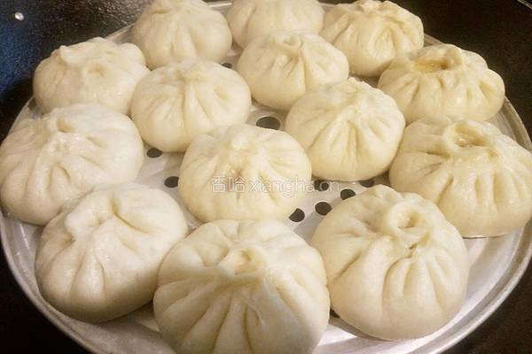 鲜肉包子的做法图解16