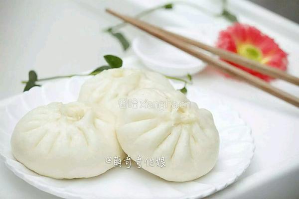 鲜肉包子的做法图解1