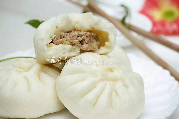 鲜肉包子的做法图解19
