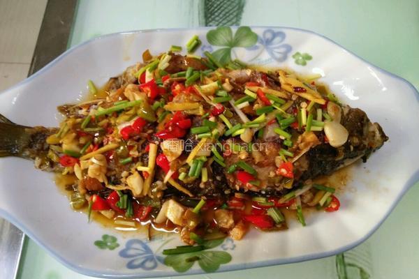 央视之淡水鱼的做法图解3