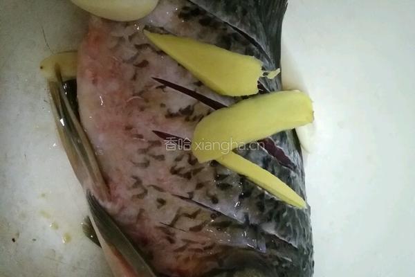 央视之淡水鱼的做法图解1