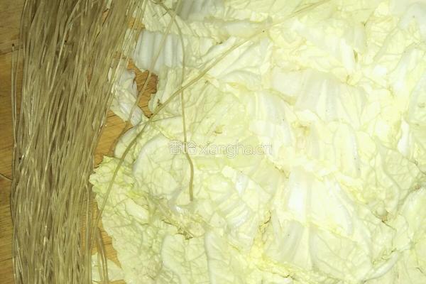 白菜炒红薯粉的做法图解1