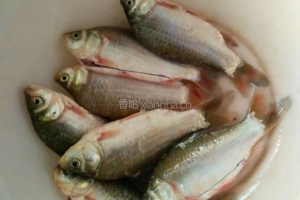烧小鲫鱼的做法图解1