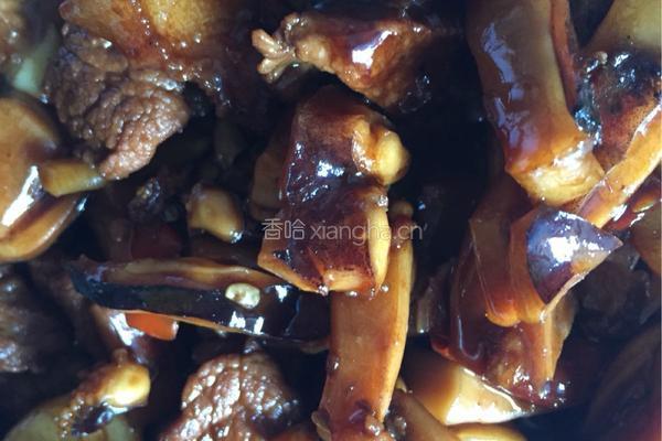 墨鱼烧肉的做法图解9