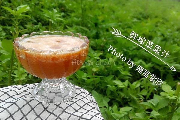 鲜榨苹果汁的做法图解7