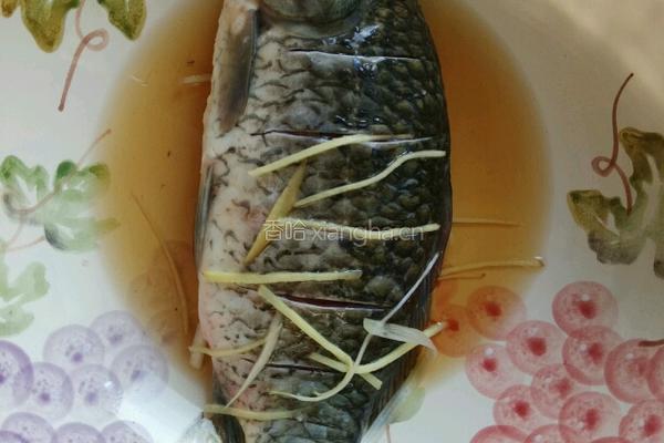 红烧草鱼的做法图解4