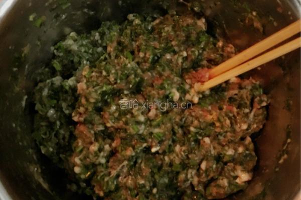 猪肉茴香饺子的做法图解5