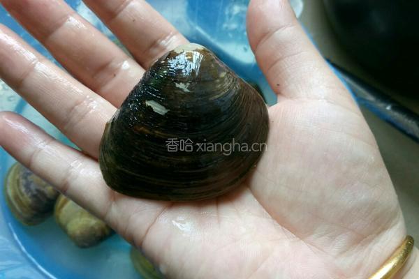 河蚬汤的做法图解2