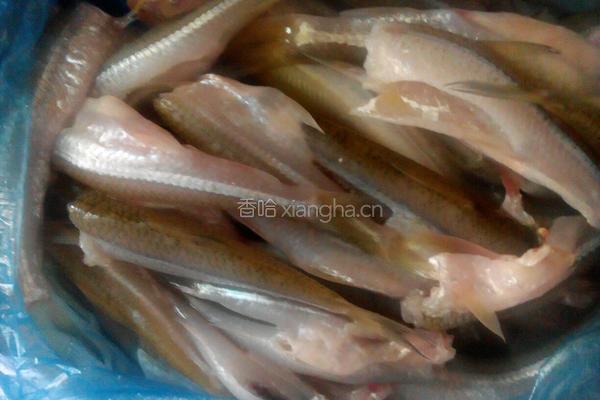 油炸沙丁鱼的做法图解1
