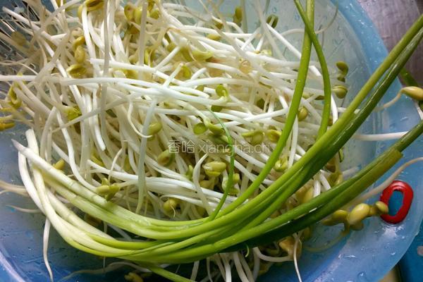 葱香豆芽的做法图解1