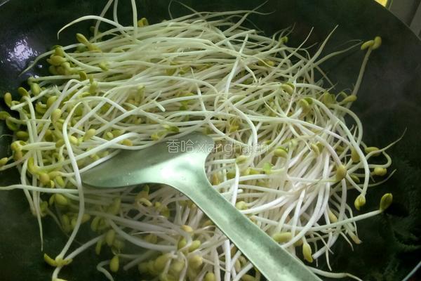 葱香豆芽的做法图解3