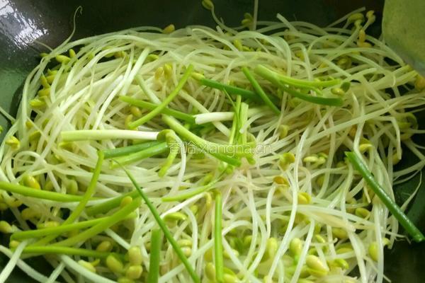 葱香豆芽的做法图解4