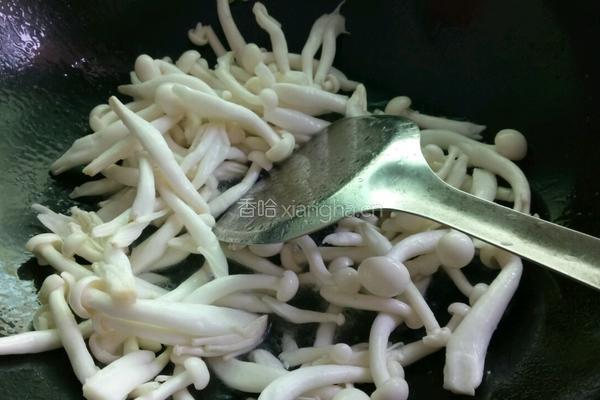 蚝油茶树菇的做法图解4