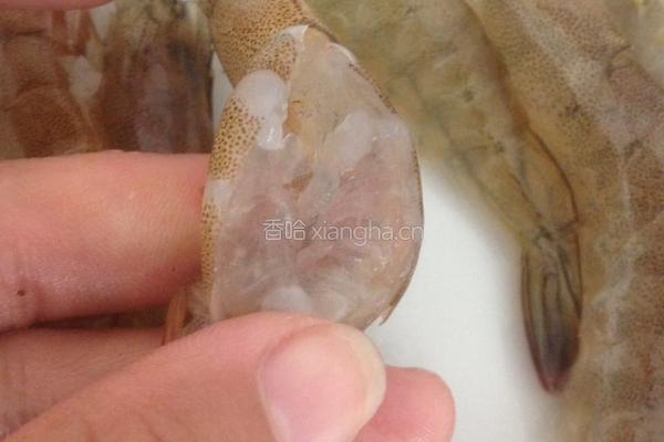 蒜蓉粉丝蒸开边虾的做法图解1