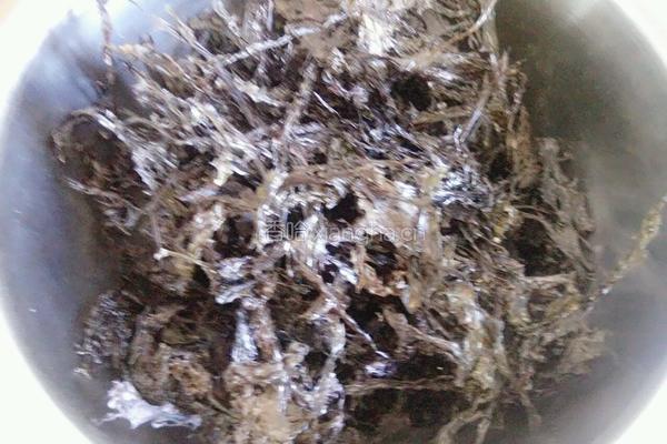 炒紫菜的做法图解1