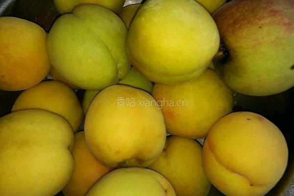 自制黄桃罐头的做法图解1