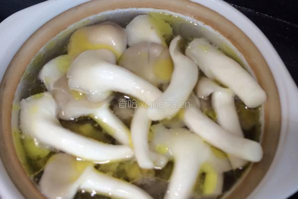 冬瓜菌菇老母鸡汤的做法图解5