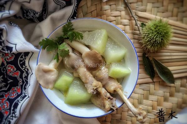 冬瓜菌菇老母鸡汤的做法图解7